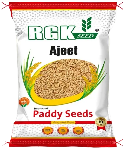 रिसर्च धान seeds for field crops