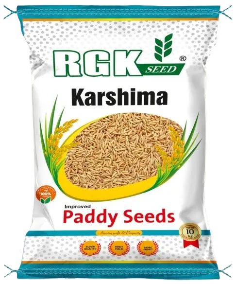 रिसर्च धान seeds for field crops