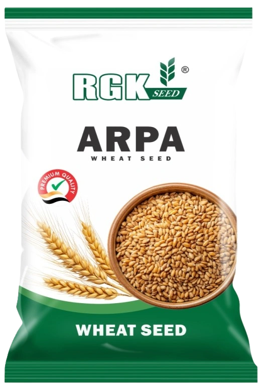 गेहूँ (रिसर्च) seeds for field crops