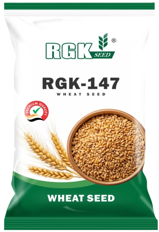 गेहूँ (रिसर्च) seeds for field crops