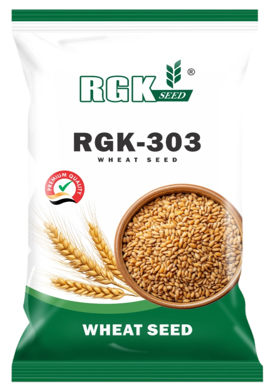 गेहूँ (रिसर्च) seeds for field crops